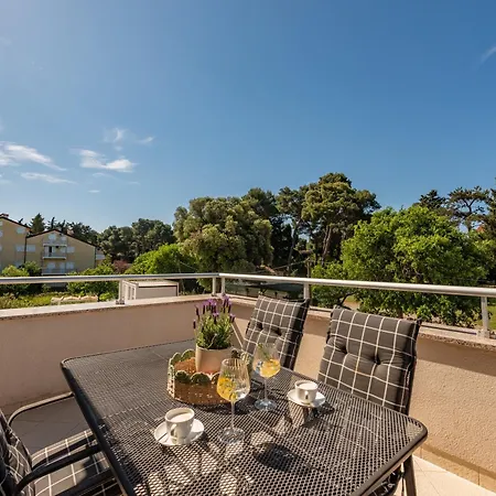 L&d * ビオグラード・ナ・モル